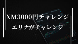 XMの3000円チャレンジにエリナがチャレンジ